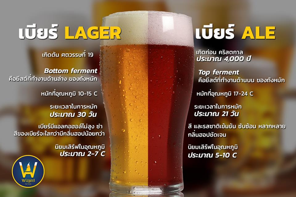 Read more about the article “เบียร์ Lager vs. เบียร์ Ale ”  แตกต่างกันยังไง? ไปดูกัน