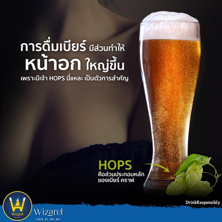 Read more about the article การดื่มเบียร์มีส่วนทำให้หน้าอกใหญ่ขึ้น